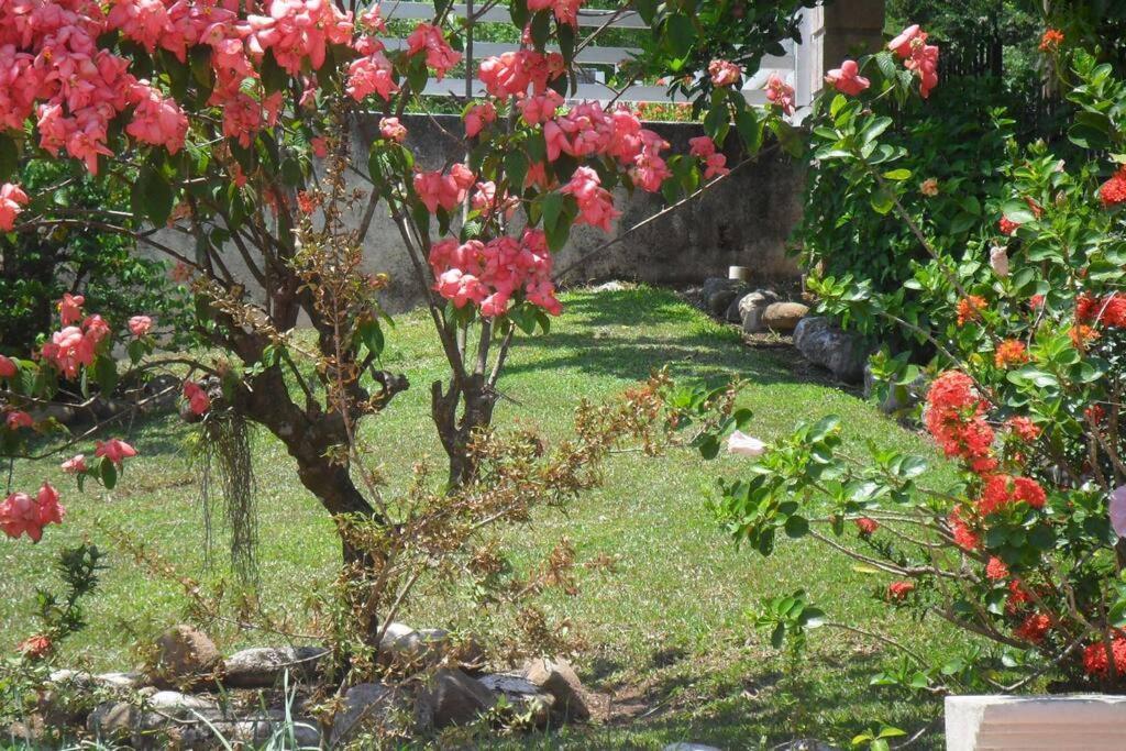 Idilio Escape Apartment Ocho Rios Exterior photo